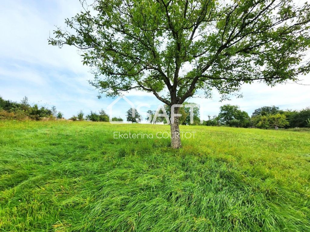 Achat maison 4 chambre(s) - Arzviller