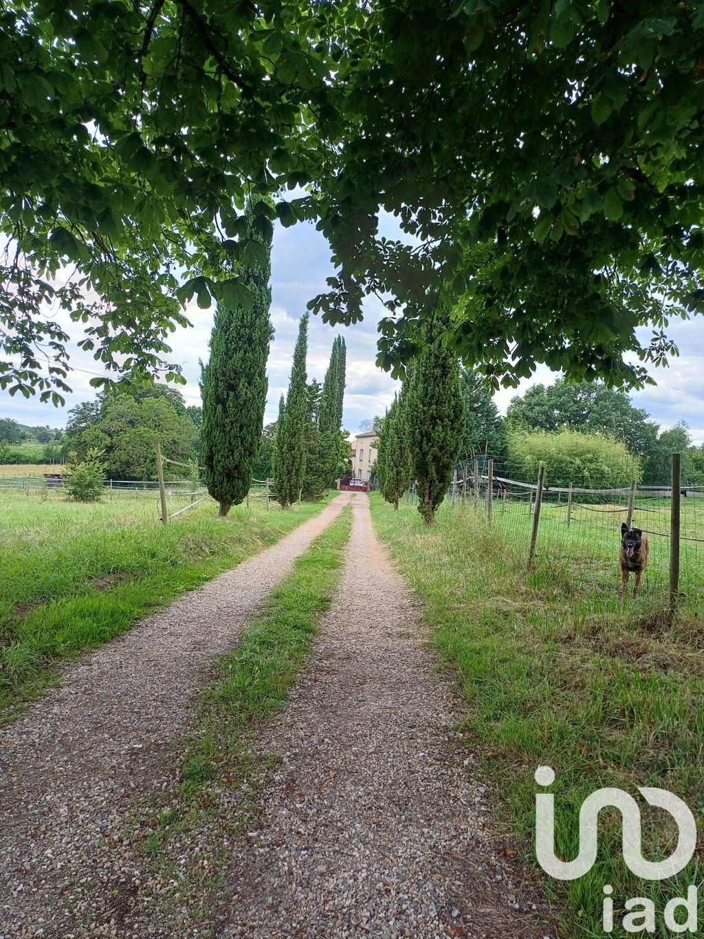 Achat maison à vendre 5 chambres 260 m² - Saint-Sève