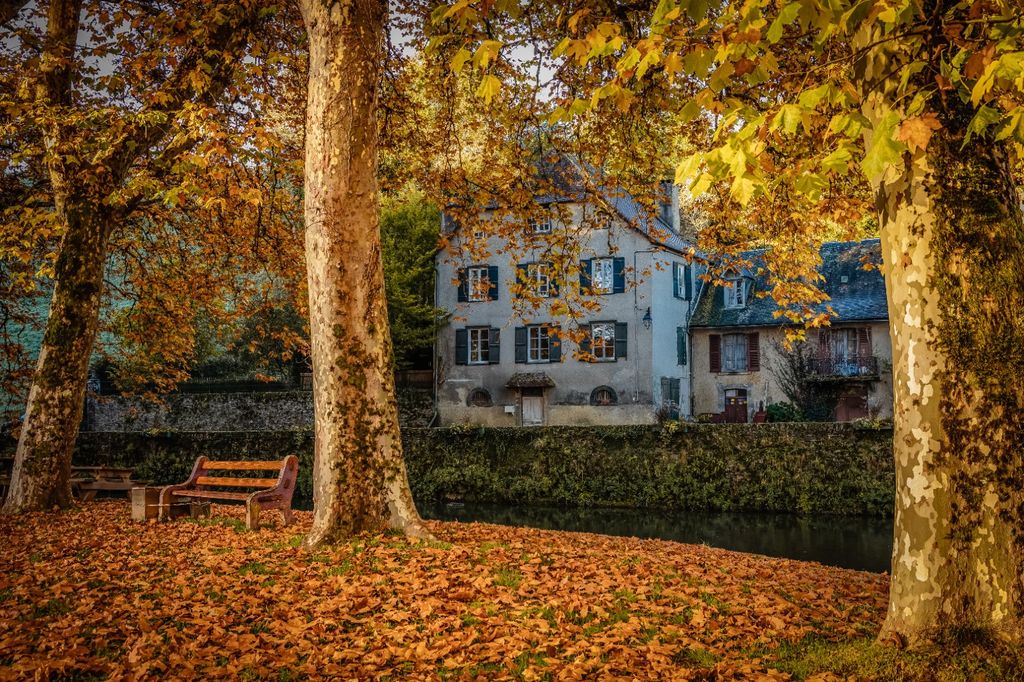 Achat maison 5 chambre(s) - Ségur-le-Château