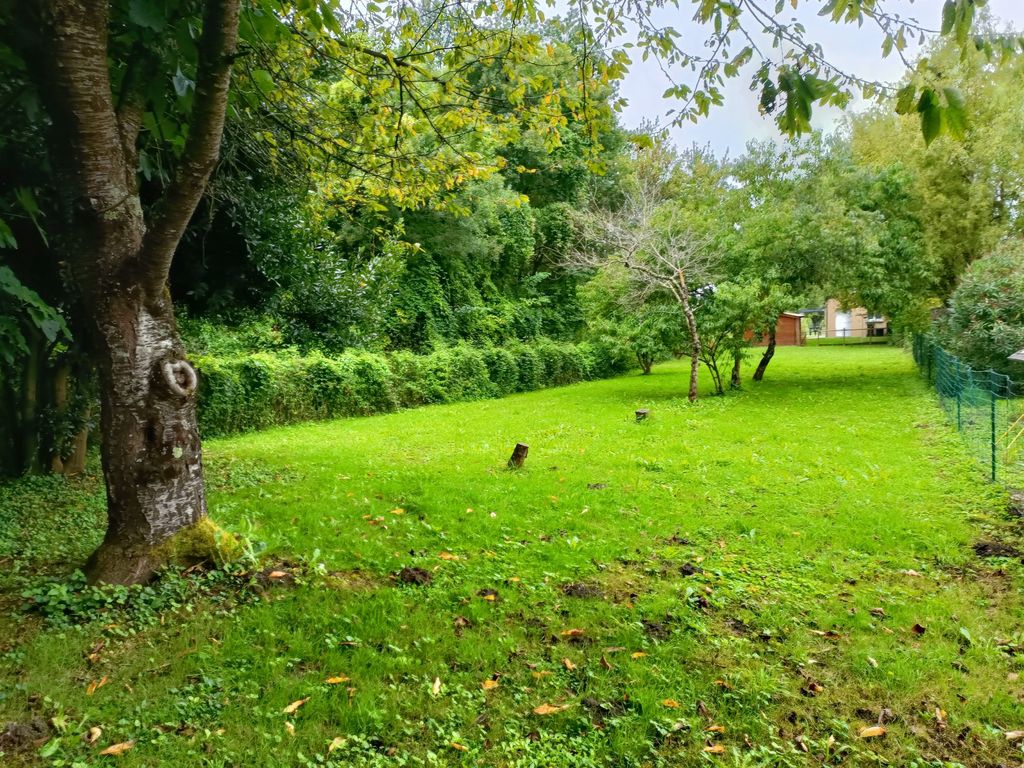 Achat maison 3 chambre(s) - Bourgueil