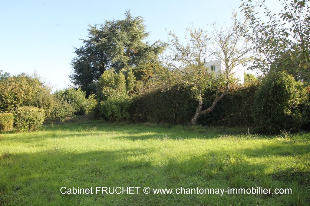 Achat maison 3 chambre(s) - Chantonnay