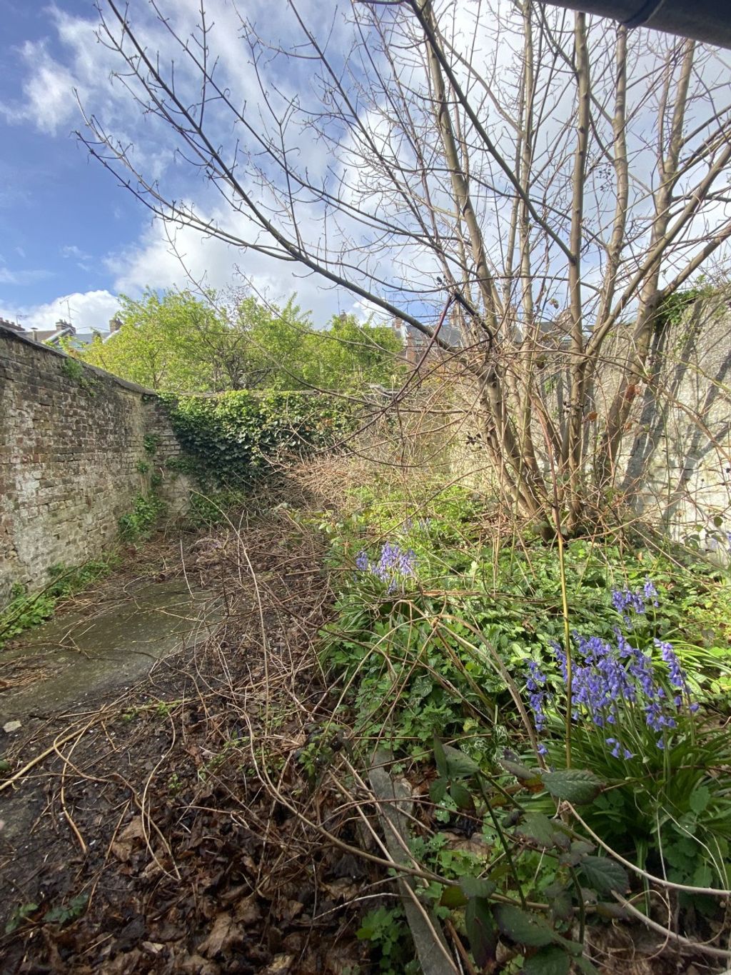 Achat maison 3 chambre(s) - Amiens