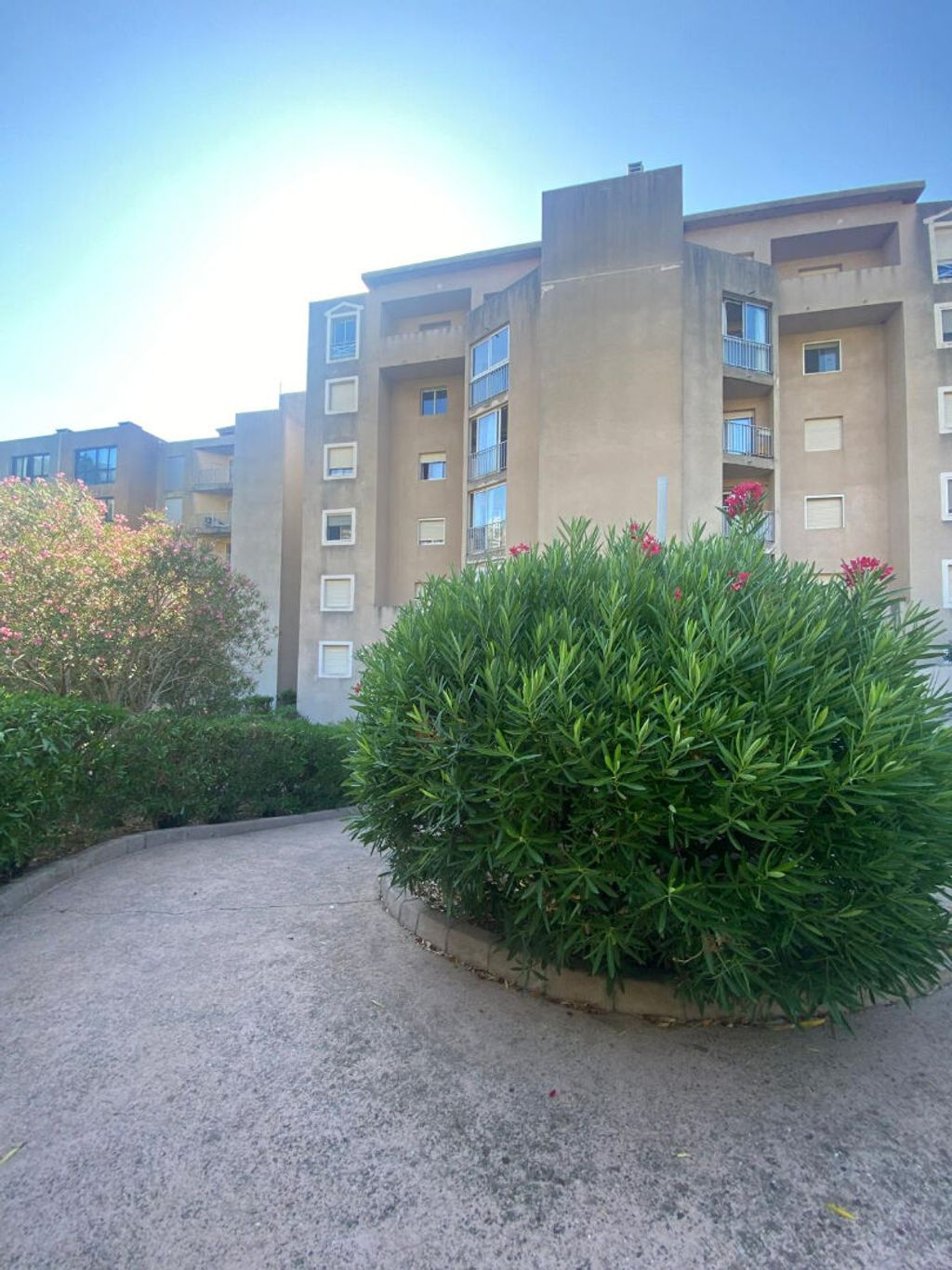 Achat studio à vendre 33 m² - Bastia