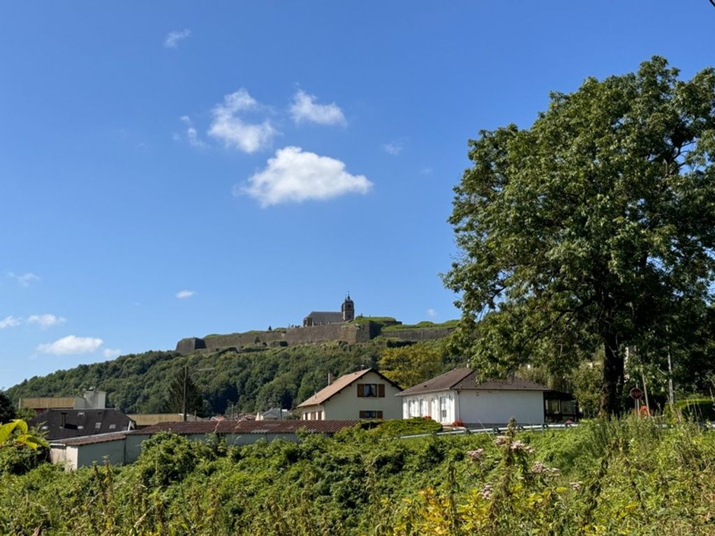 Achat maison 3 chambre(s) - Montmédy