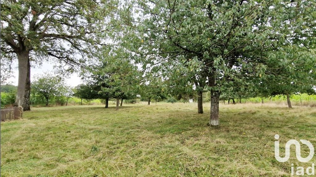 Achat maison 3 chambre(s) - Louverné