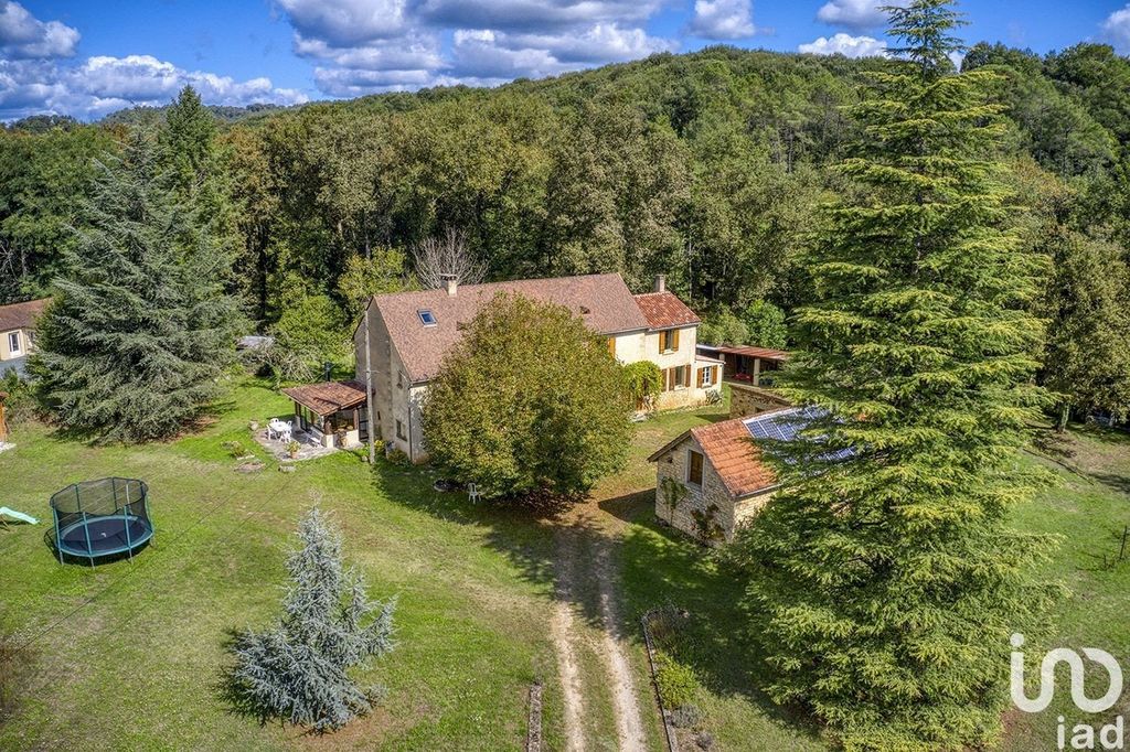 Achat maison à vendre 4 chambres 233 m² - Sarlat-la-Canéda