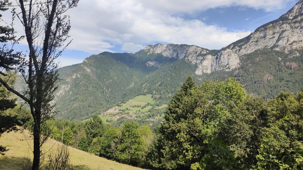 Achat maison 4 chambre(s) - Le Petit-Bornand-les-Glières