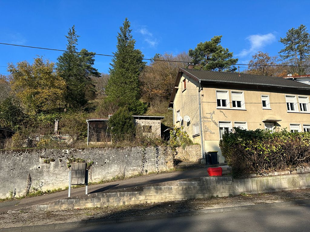 Achat maison à vendre 4 chambres 140 m² - L'Isle-sur-le-Doubs