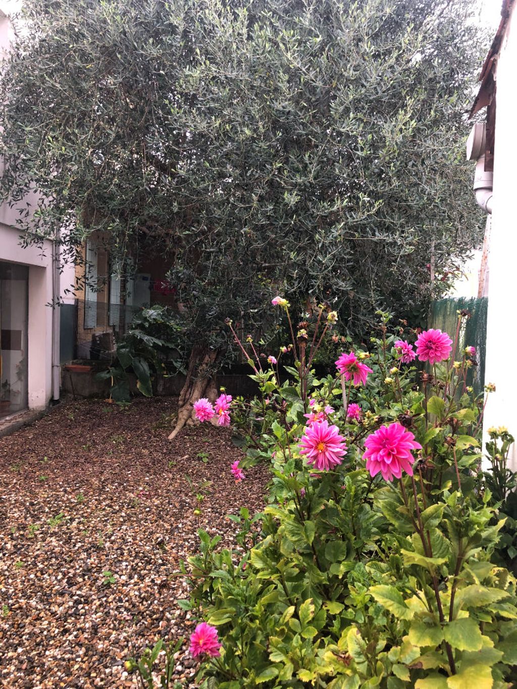 Achat maison à vendre 2 chambres 89 m² - Le Passage