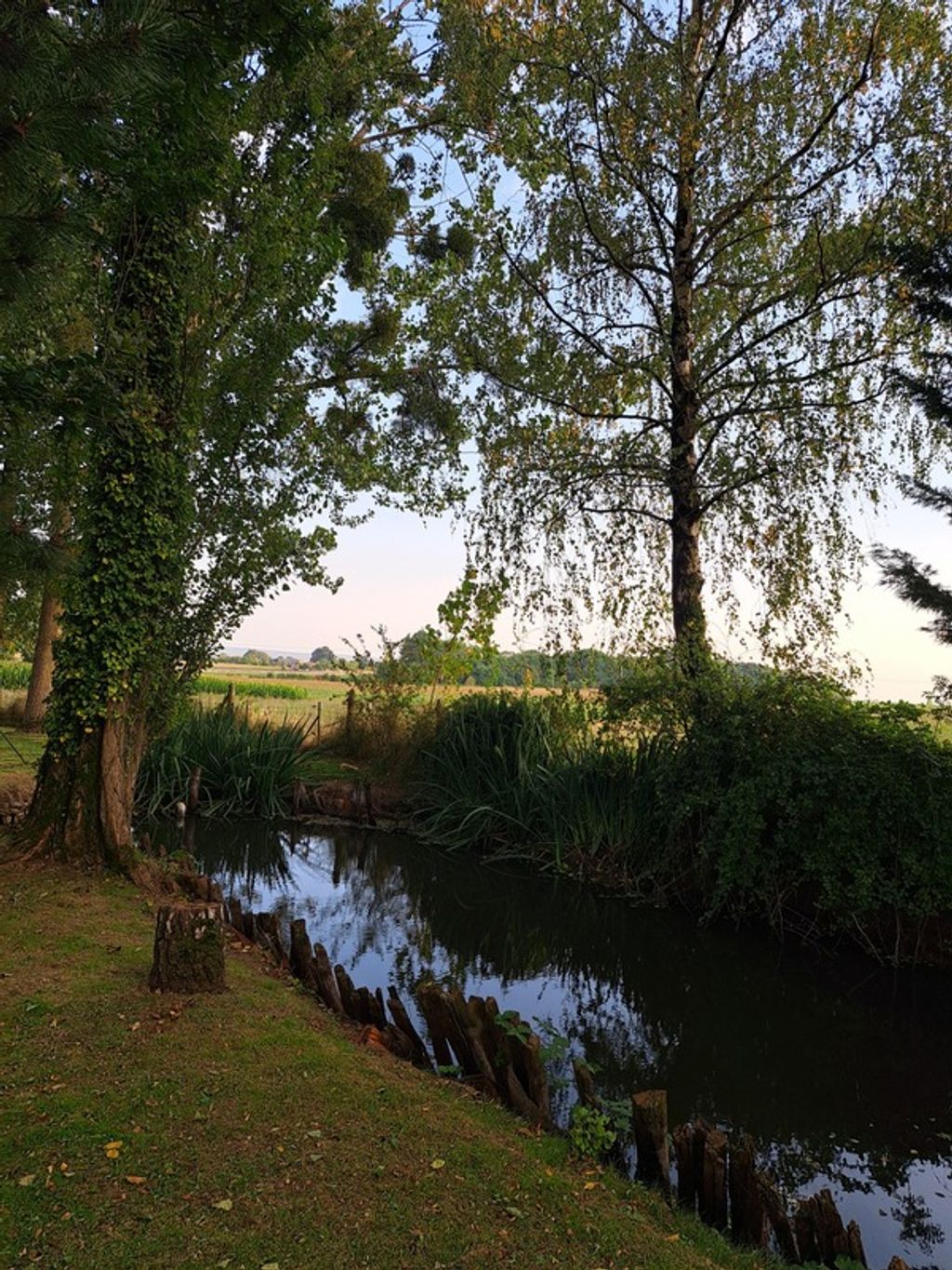 Achat maison 4 chambre(s) - Alençon