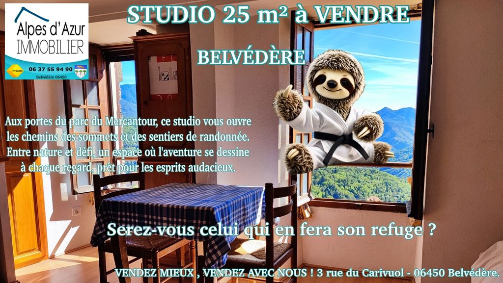 Achat studio à vendre 25 m² - Belvédère