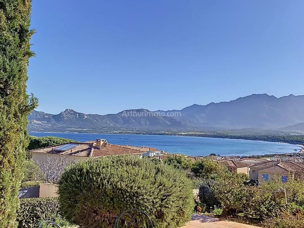 Achat maison 3 chambre(s) - Calvi