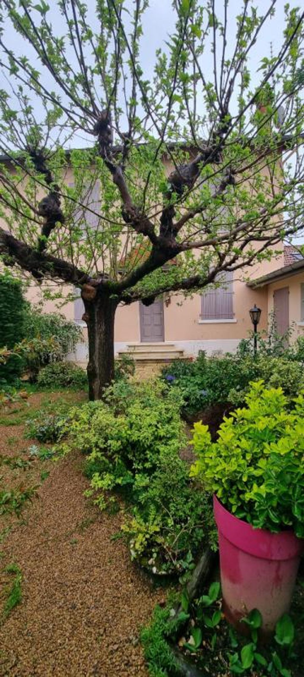 Achat maison 2 chambre(s) - Roussillon