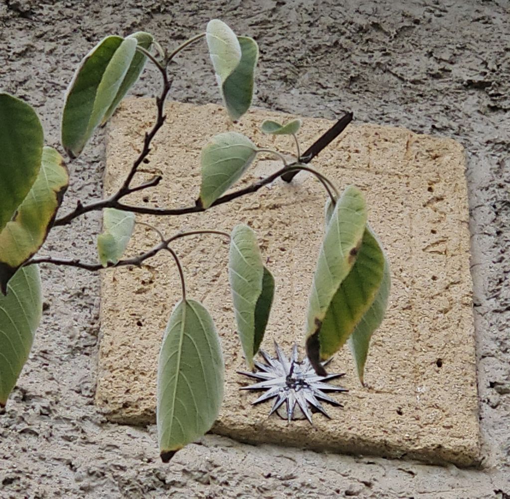 Achat maison 5 chambre(s) - Mouriès