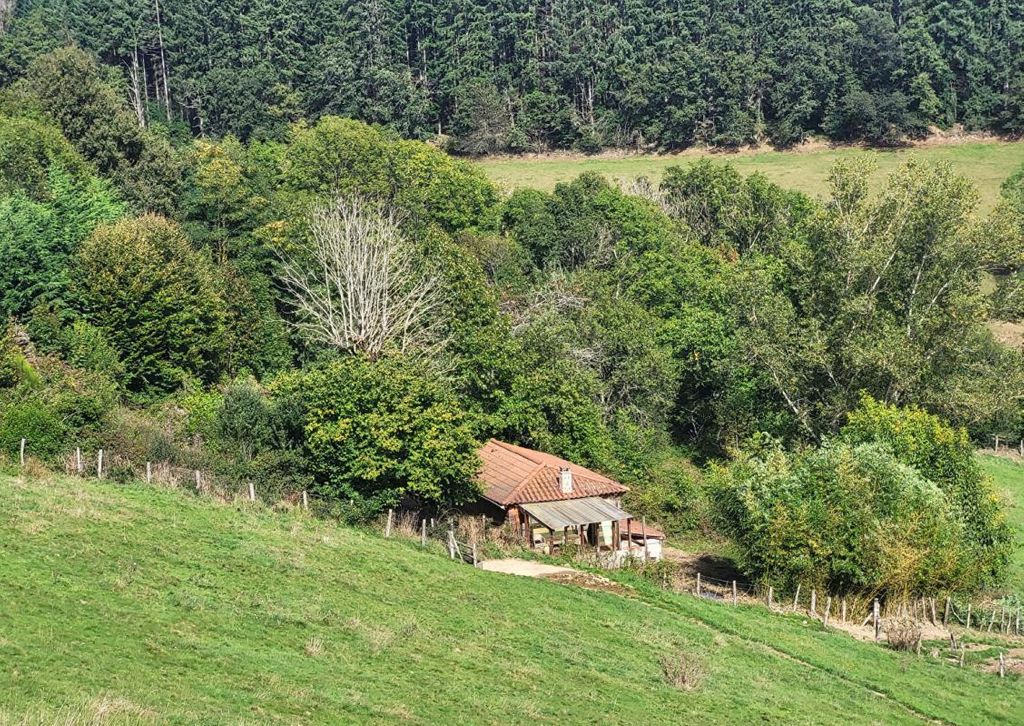 Achat maison à vendre 1 chambre 70 m² - Violay