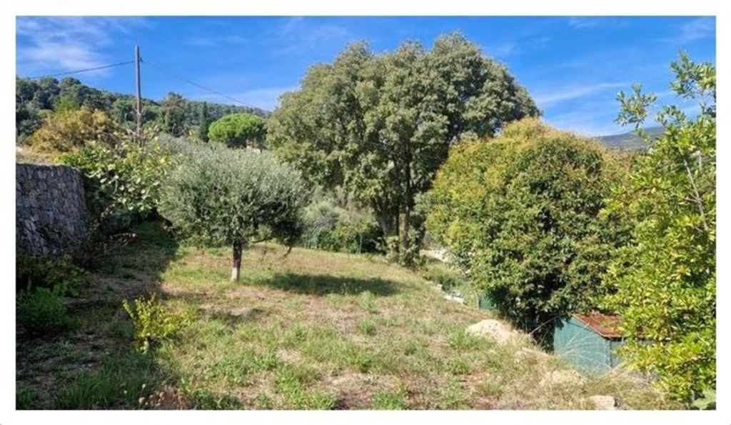 Achat maison 4 chambre(s) - Grasse