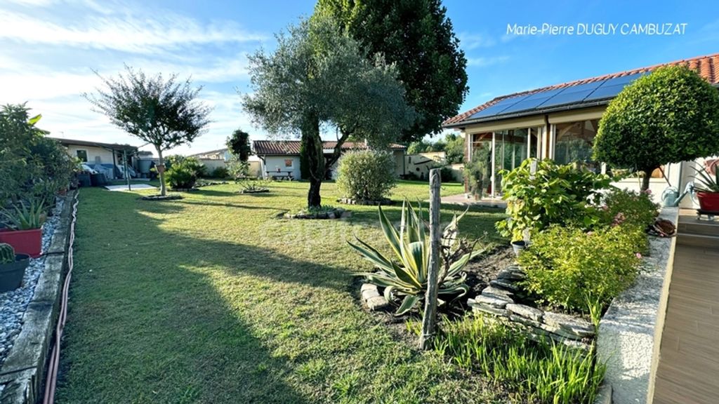 Achat maison 4 chambre(s) - Dax