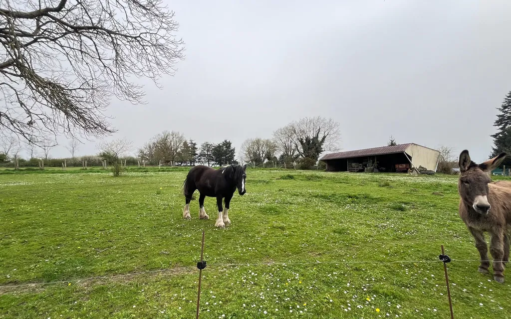 Achat maison 5 chambre(s) - Saint-Germain-du-Corbéis