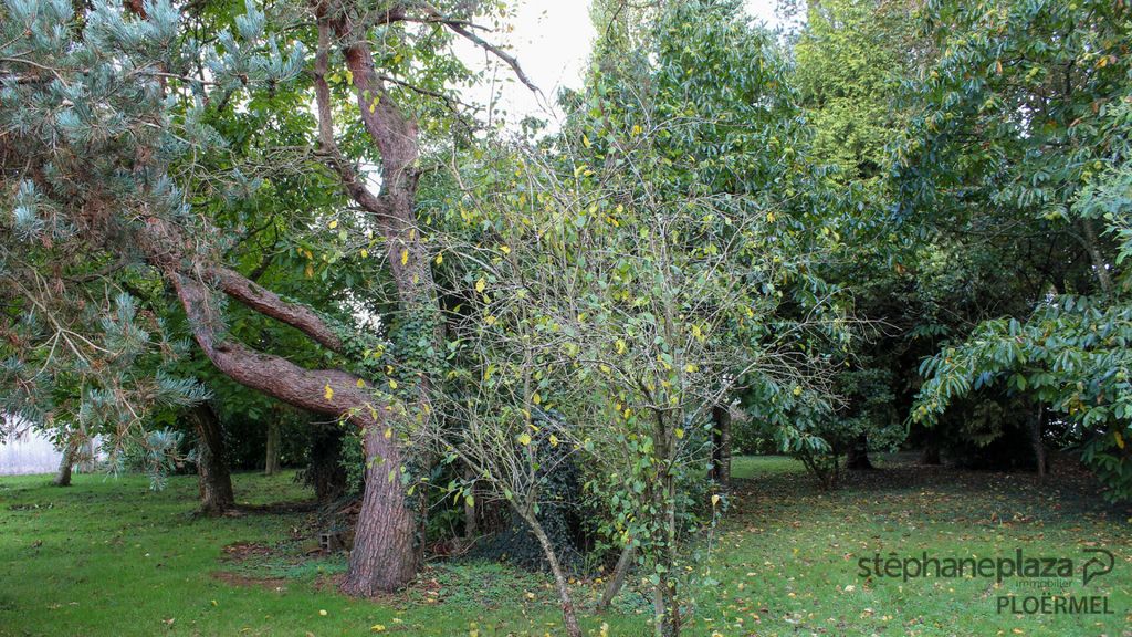 Achat maison 4 chambre(s) - Ploërmel