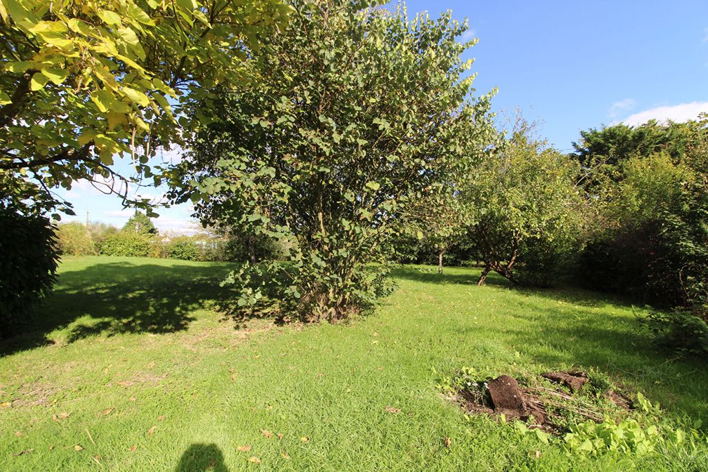 Achat maison 3 chambre(s) - Amboise