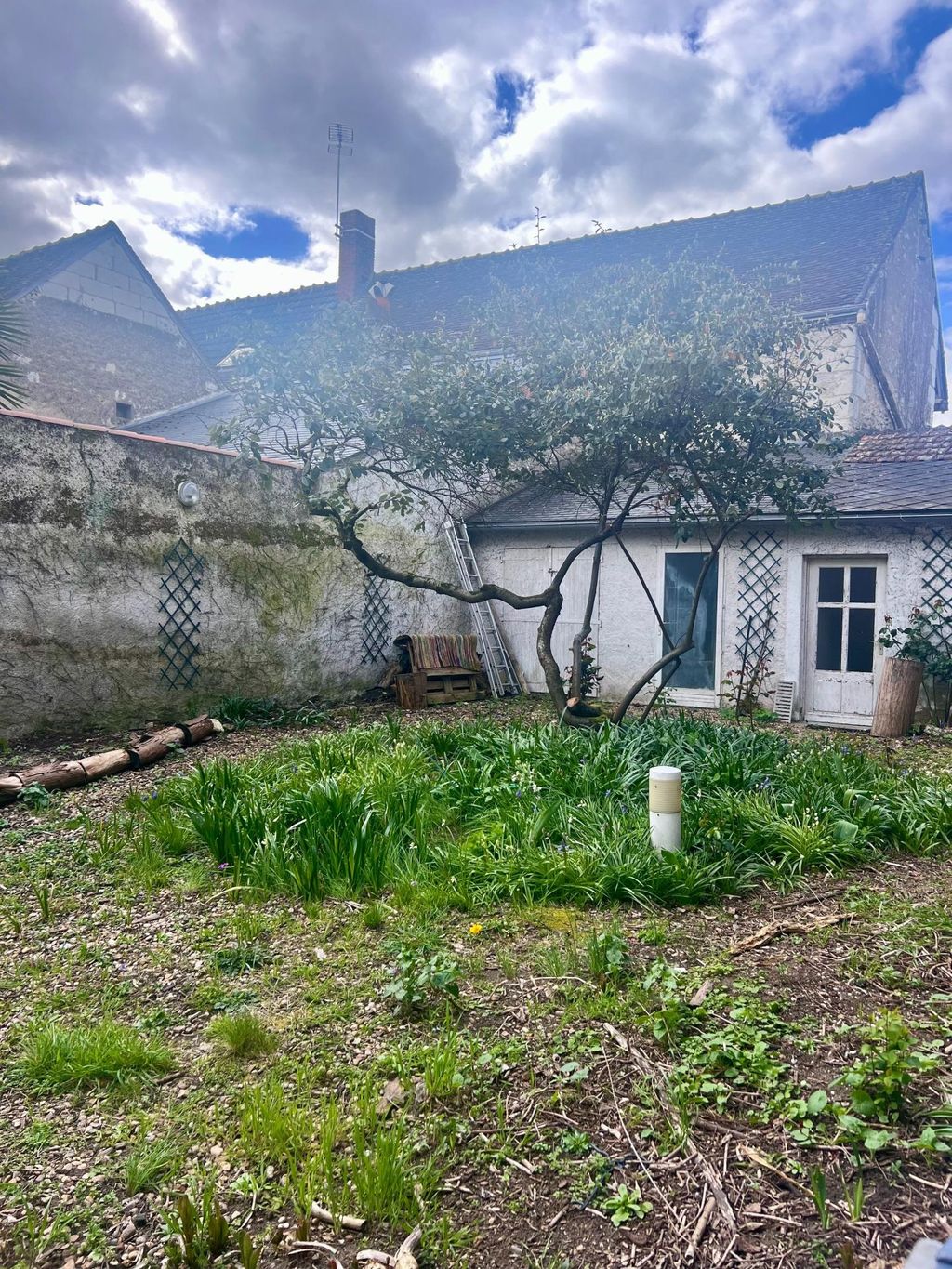 Achat maison 2 chambre(s) - Bléré