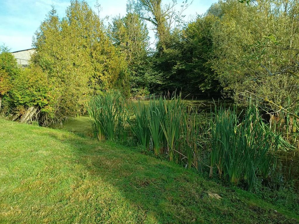 Achat maison 5 chambre(s) - Beuvillers