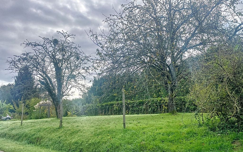 Achat maison 3 chambre(s) - Bussière-Saint-Georges