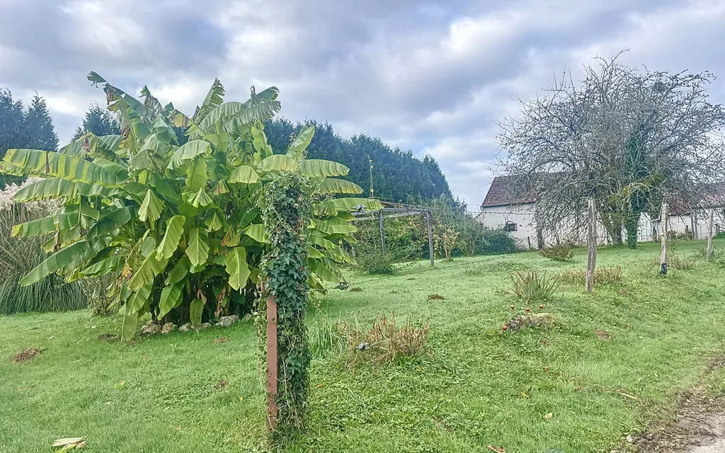 Achat maison 3 chambre(s) - Bussière-Saint-Georges