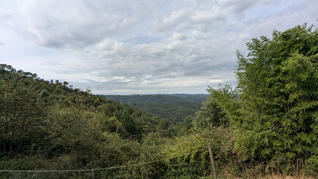 Achat maison 3 chambre(s) - Saint-Bonnet-Elvert