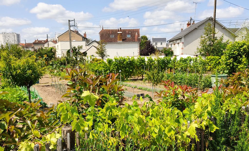 Achat maison 4 chambre(s) - Tours