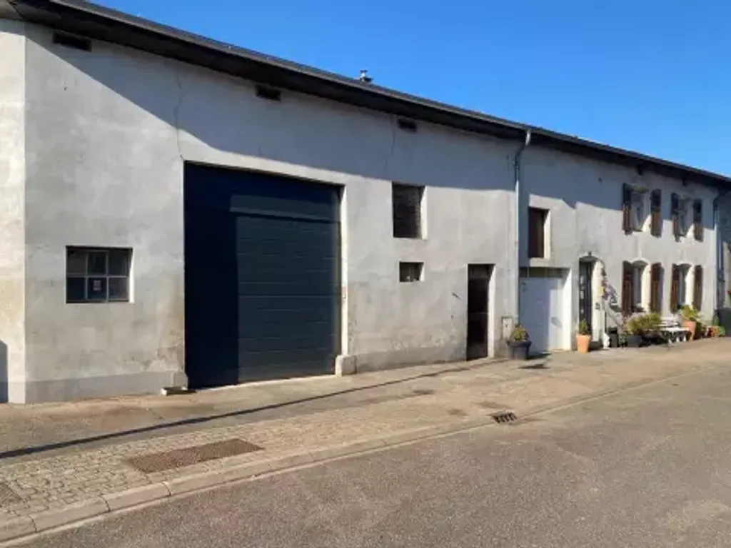 Achat maison à vendre 4 chambres 380 m² - Vaudreching