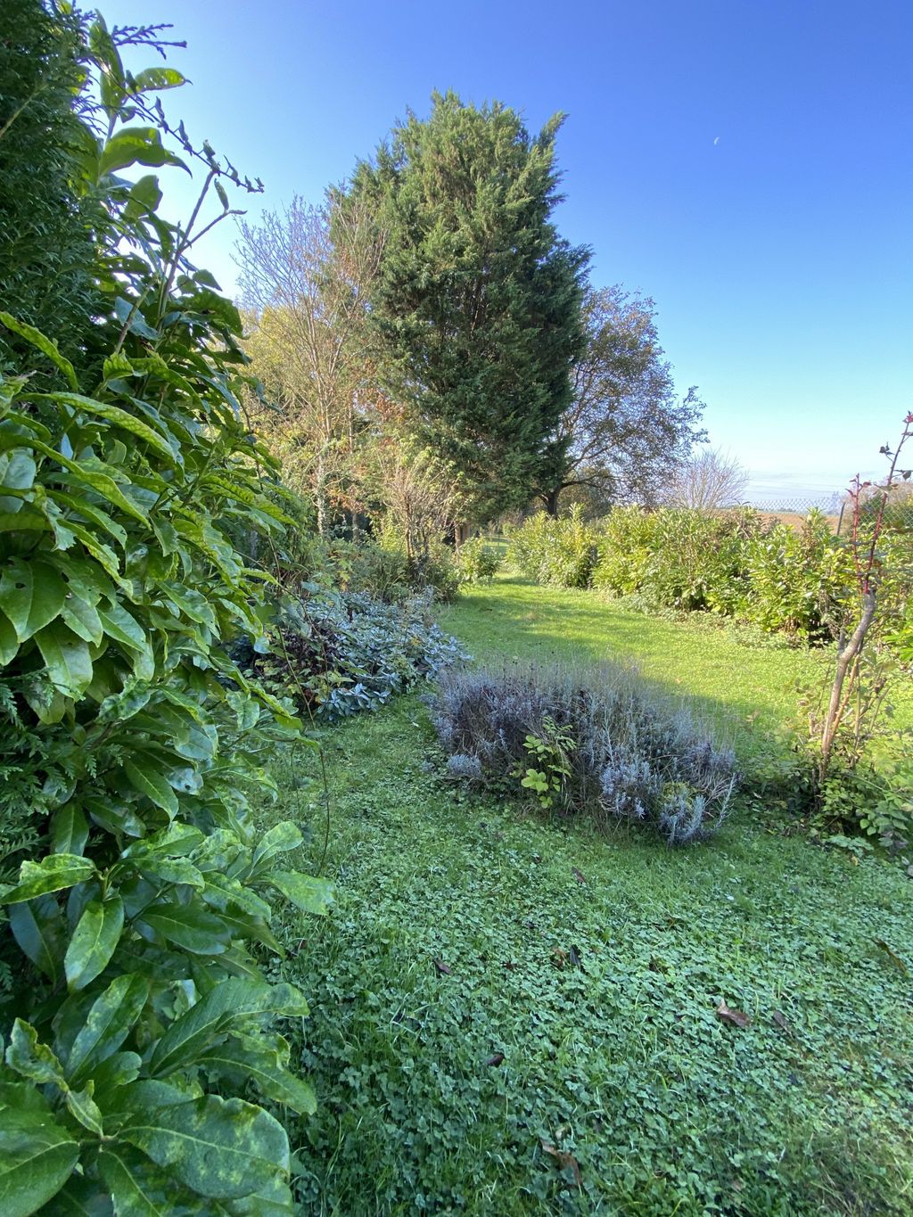 Achat maison 3 chambre(s) - Ligny-en-Cambrésis