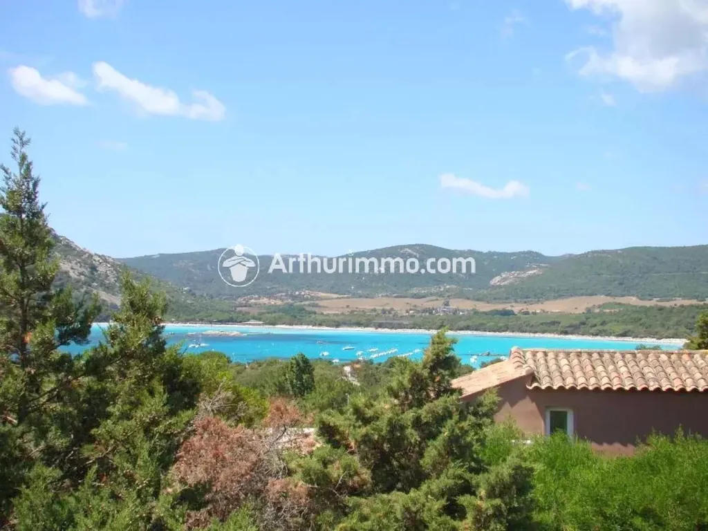 Achat maison à vendre 1 chambre 29 m² - Porto-Vecchio