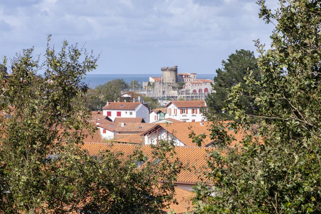 Achat studio à vendre 23 m² - Ciboure