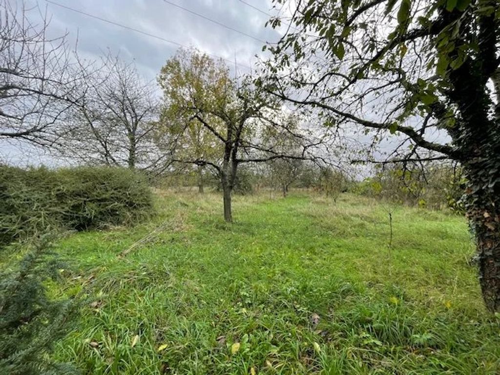 Achat maison 3 chambre(s) - Cléré-les-Pins