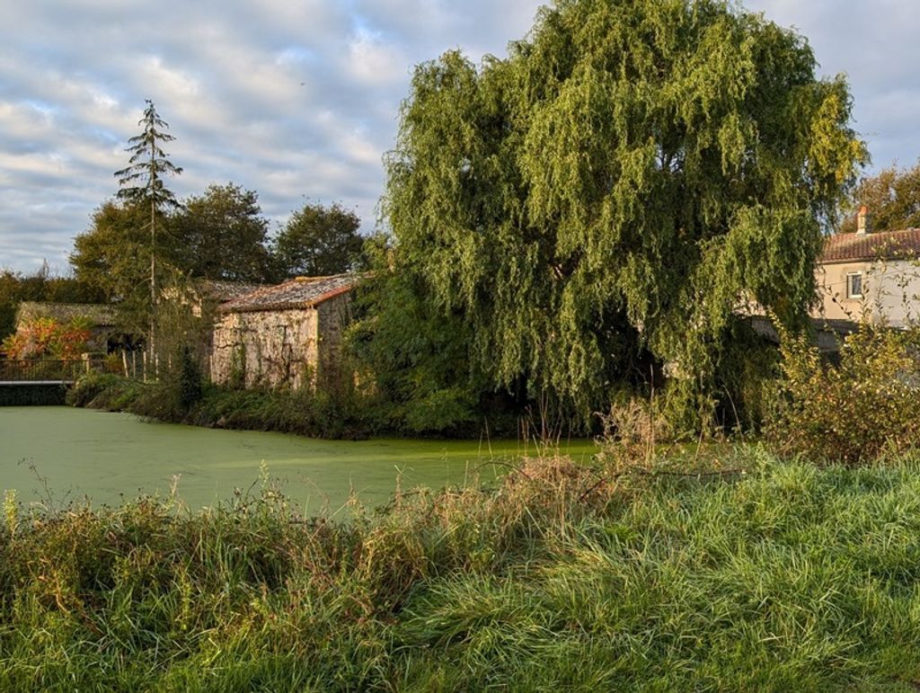 Achat maison à vendre 5 chambres 160 m² - Nueil-les-Aubiers