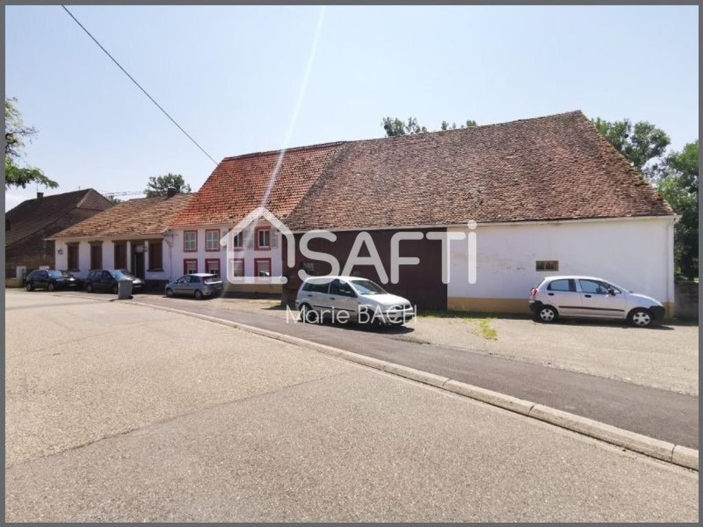 Achat maison à vendre 5 chambres 563 m² - Drulingen