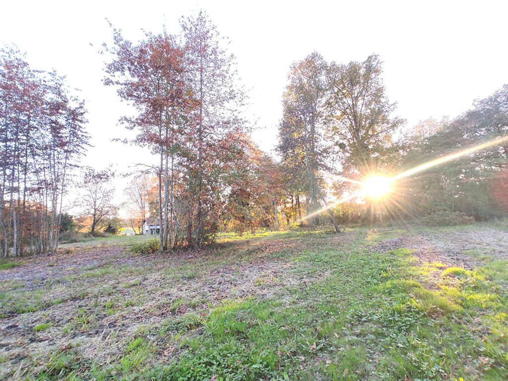 Achat maison 1 chambre(s) - Saint-Sever