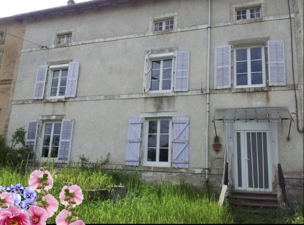 Achat maison à vendre 5 chambres 220 m² - Épinal