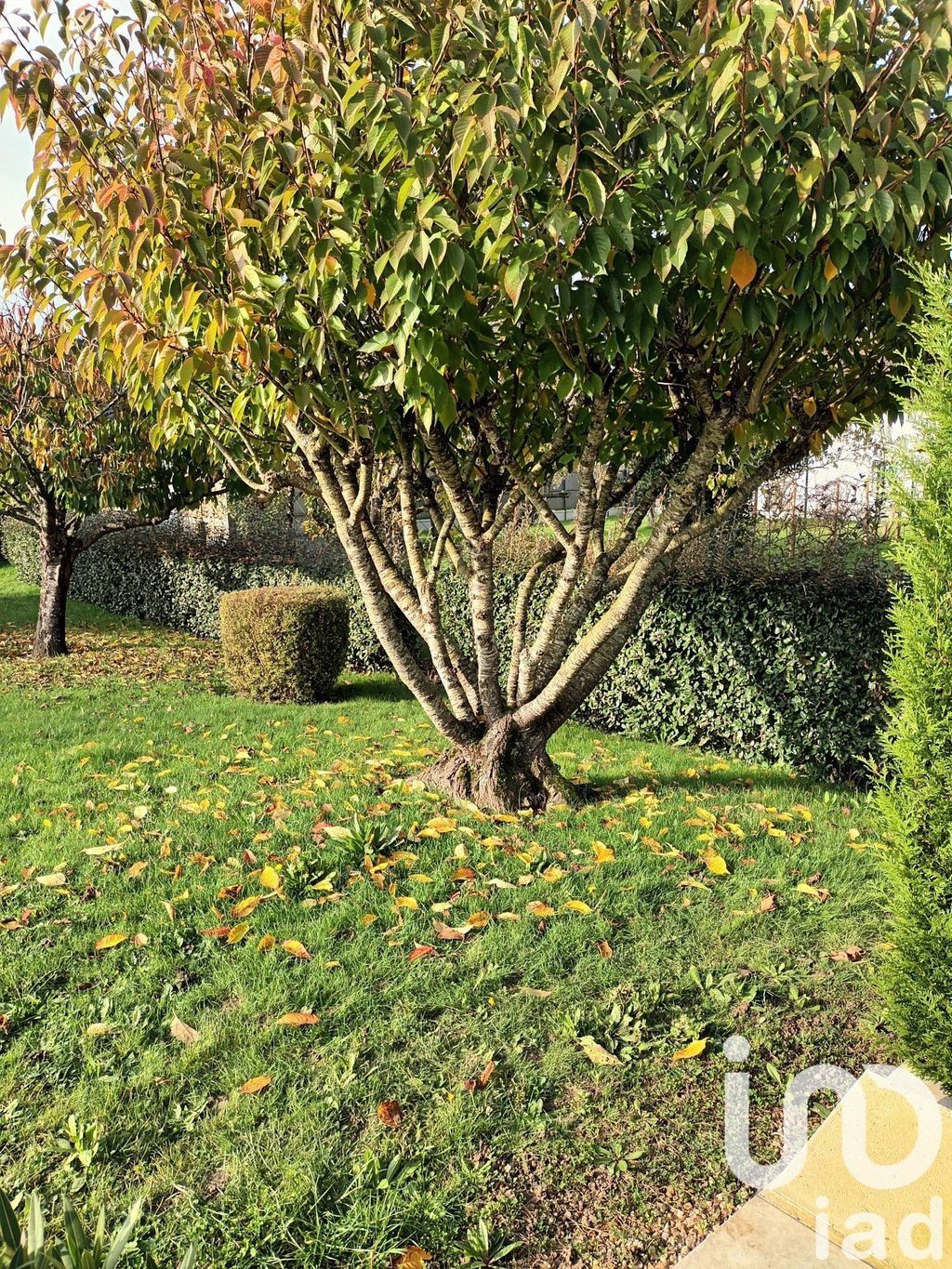 Achat maison 4 chambre(s) - Ver-lès-Chartres