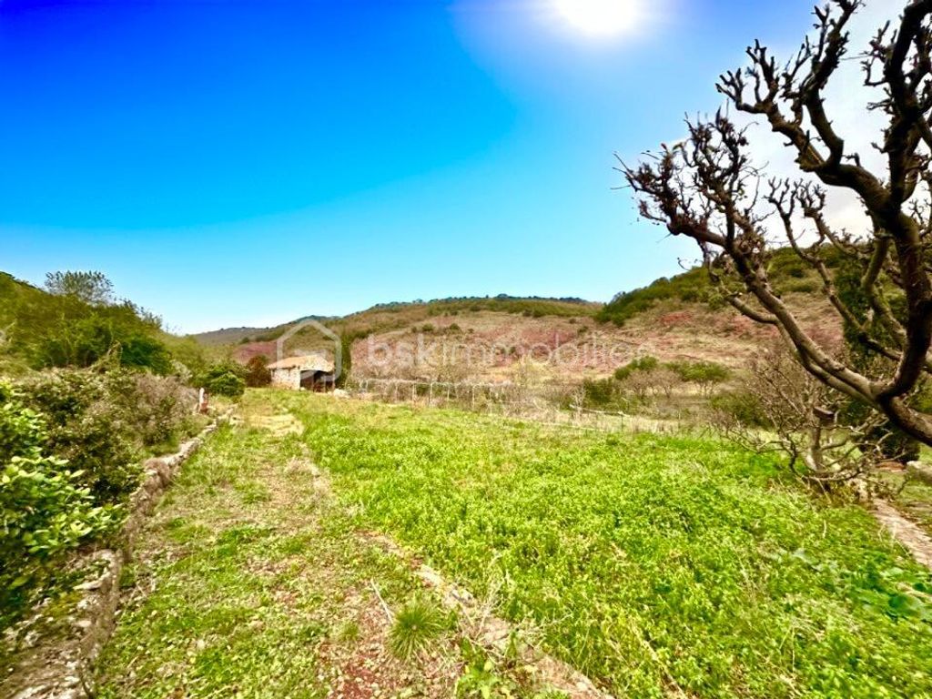 Achat maison 2 chambre(s) - Octon