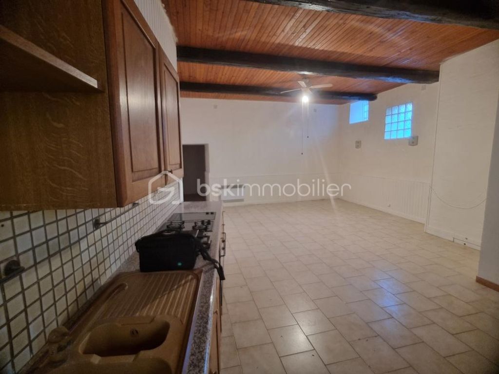 Achat maison à vendre 2 chambres 92 m² - Puisserguier