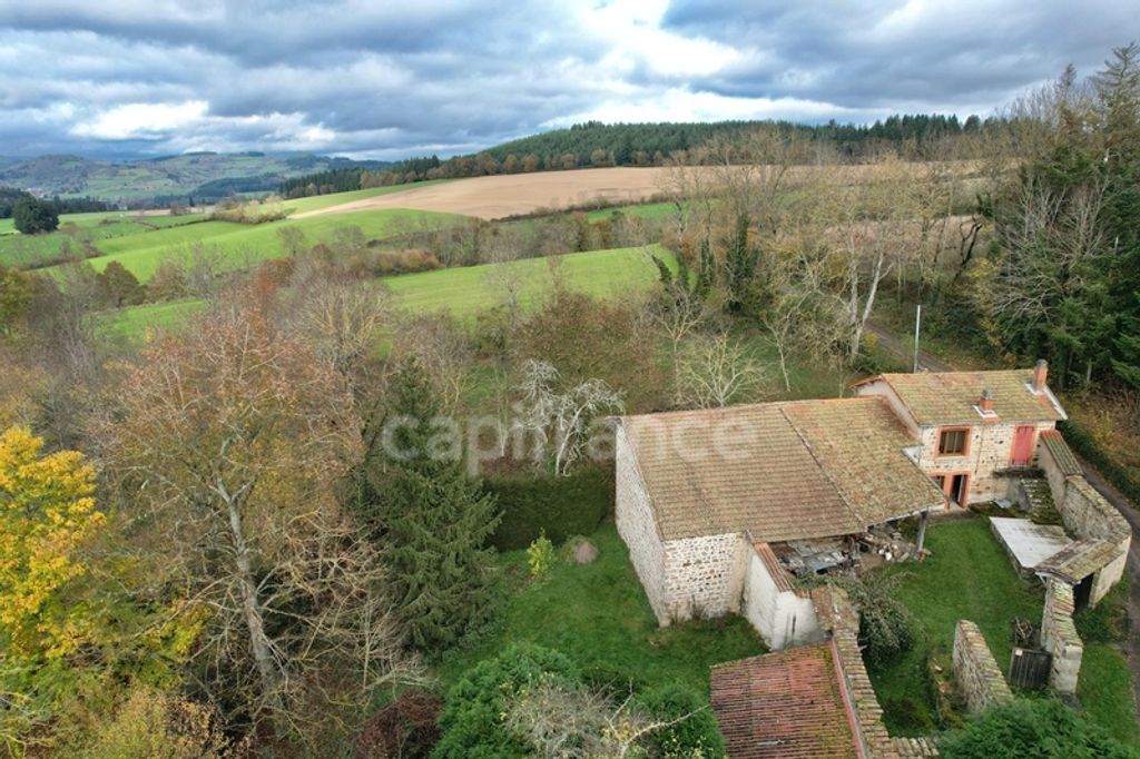 Achat maison 1 chambre(s) - Saint-Romain-d'Urfé