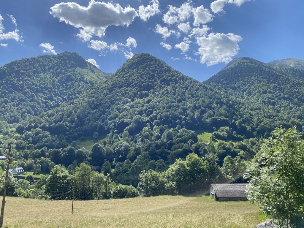 Achat maison 4 chambre(s) - Estaing