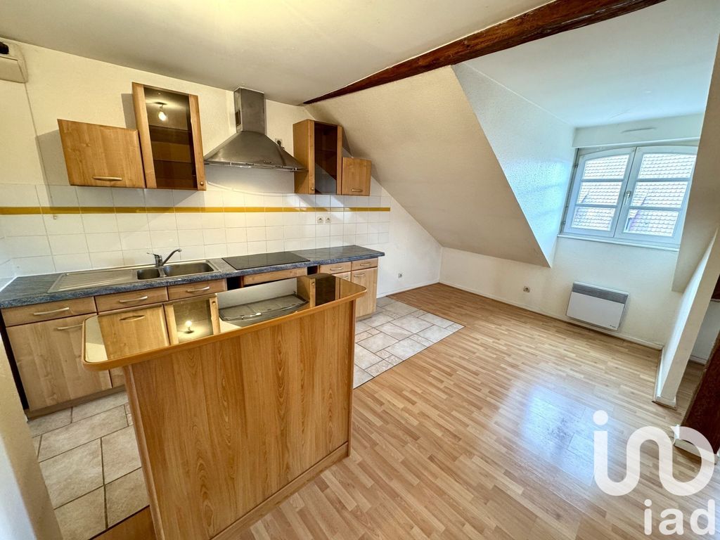 Achat appartement à vendre 3 pièces 60 m² - Colmar