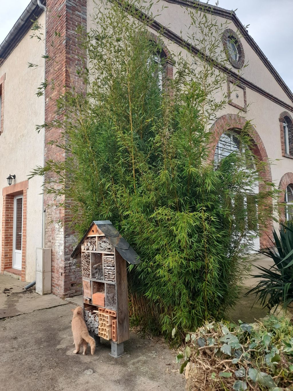 Achat maison à vendre 3 chambres 152 m² - Neuvy-sur-Loire