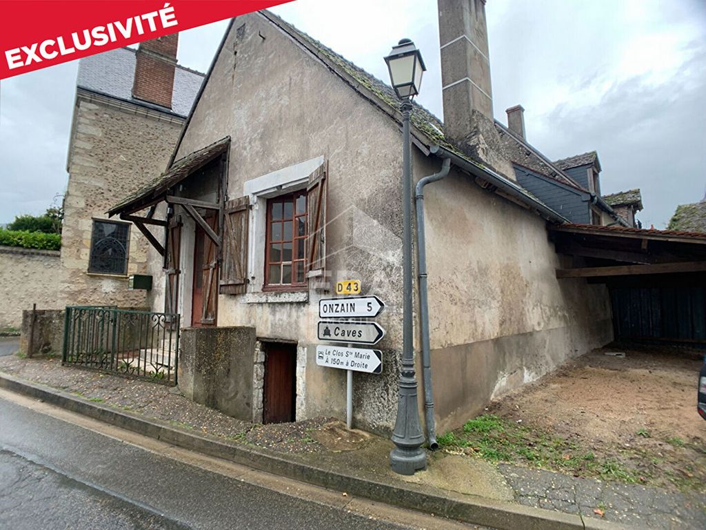 Achat maison à vendre 2 chambres 53 m² - Mesland