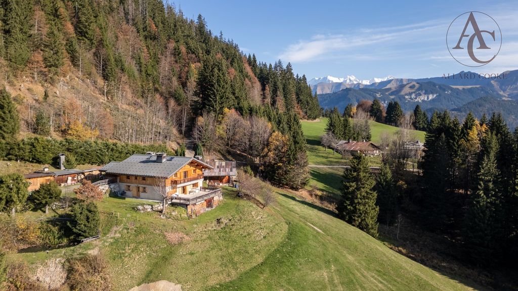 Achat maison à vendre 5 chambres 258 m² - Praz-sur-Arly