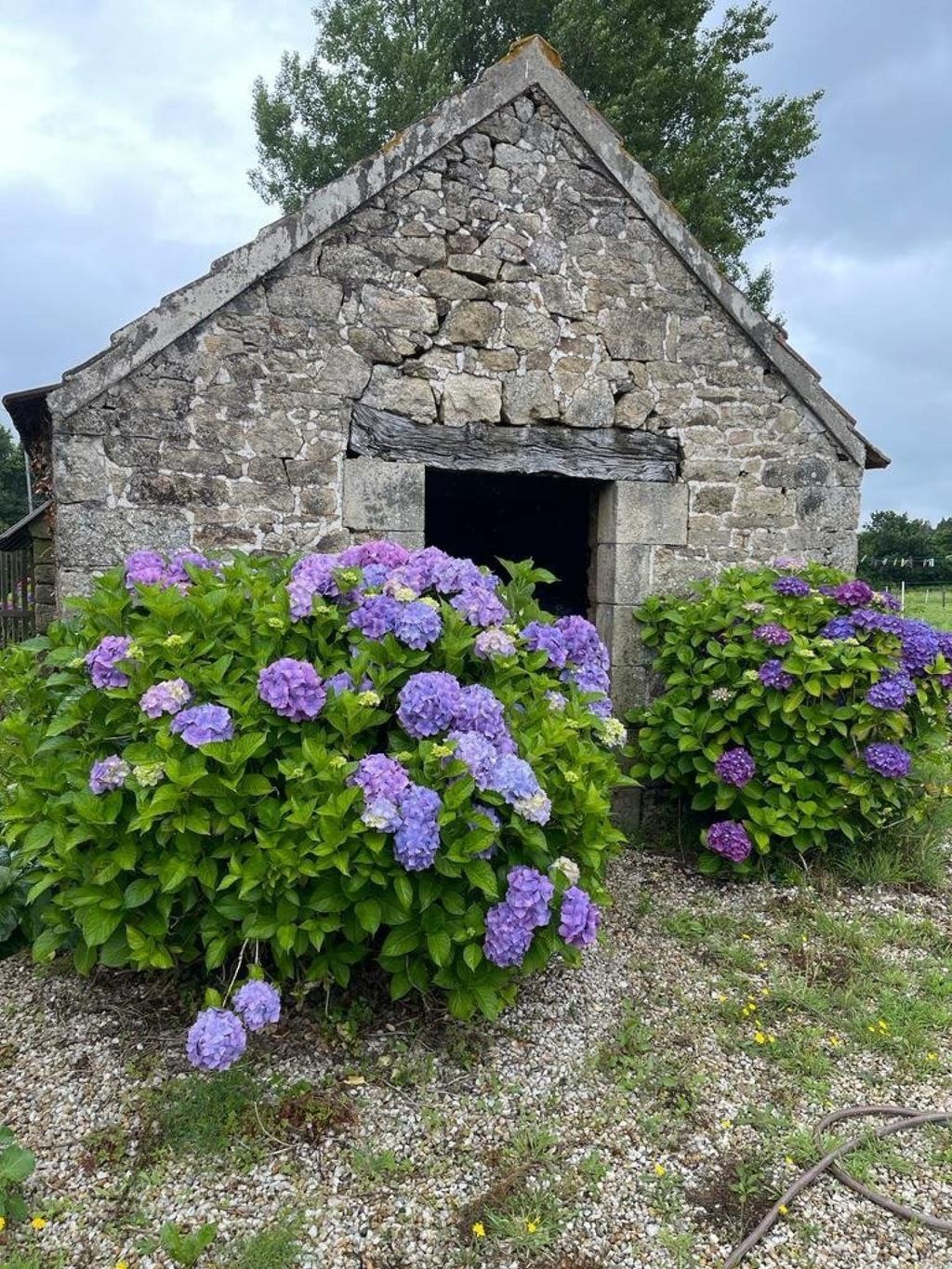 Achat maison 1 chambre(s) - Plouégat-Moysan