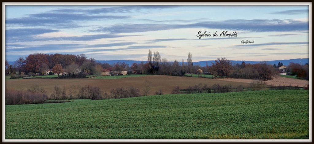 Achat maison 4 chambre(s) - Montrevel-en-Bresse